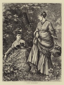 Fern Samlare